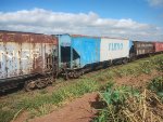 RUMO HPT-030459-0